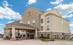 Comfort Inn Navasota Tx